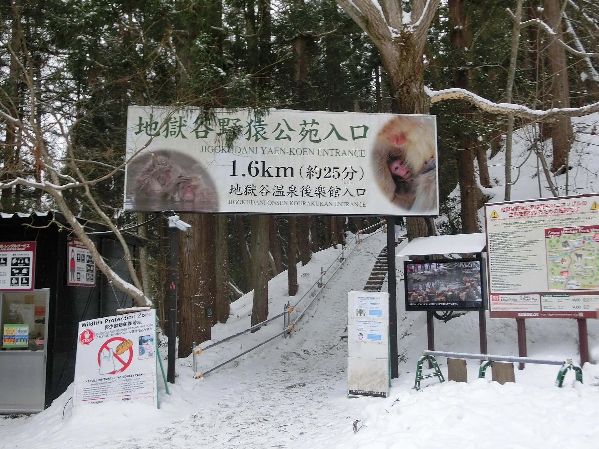 겨울 지고쿠다니 야엔코엔 Snow Monkey Park 입구와 눈길