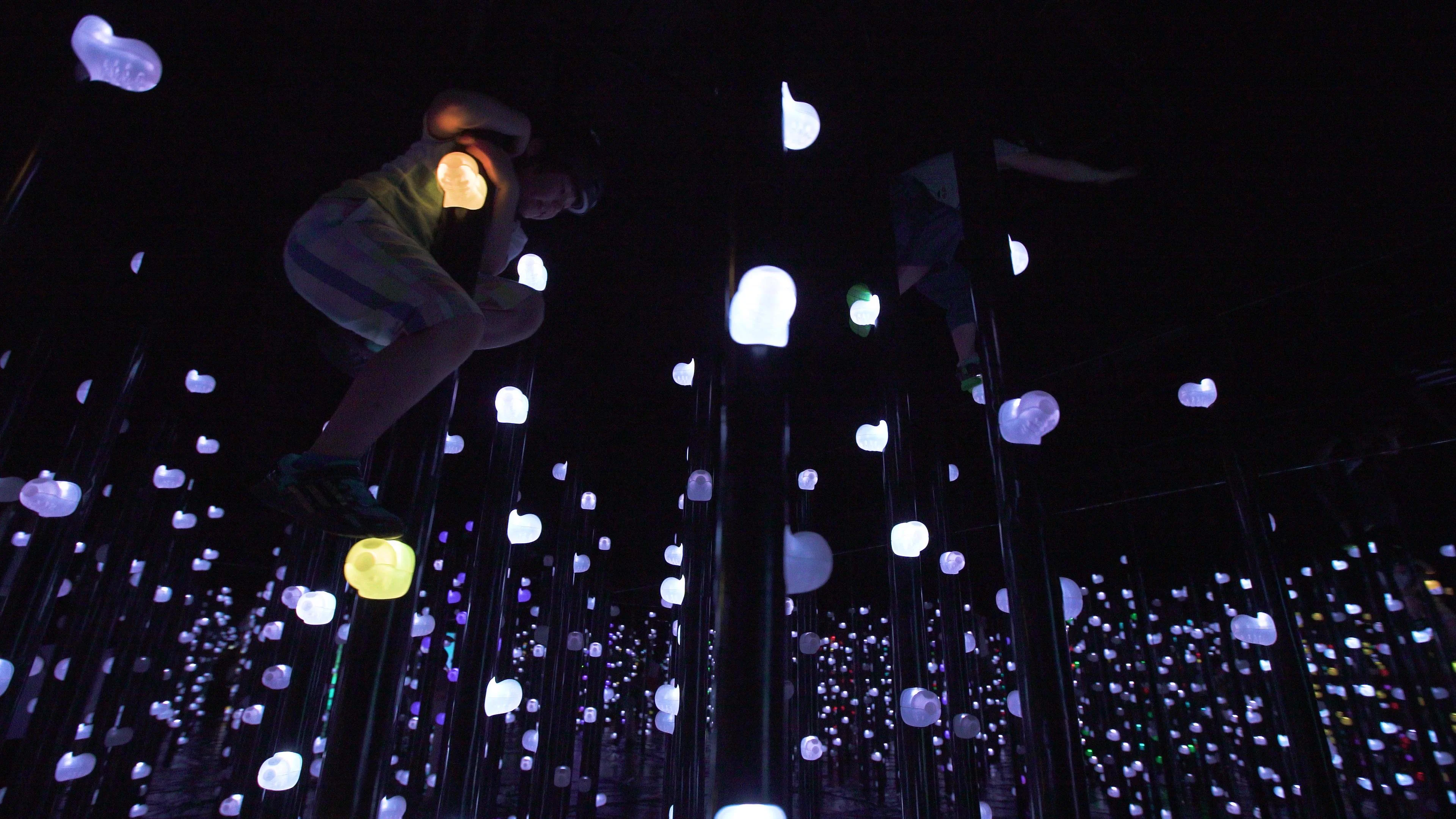 teamLab Biovortex Kyoto Athletics Forest 신체 참여 공간