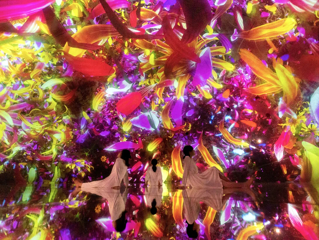 teamLab Planets Floating in the Falling Universe of Flowers에서 계절의 꽃 영상이 관람객을 둘러싸는 공간