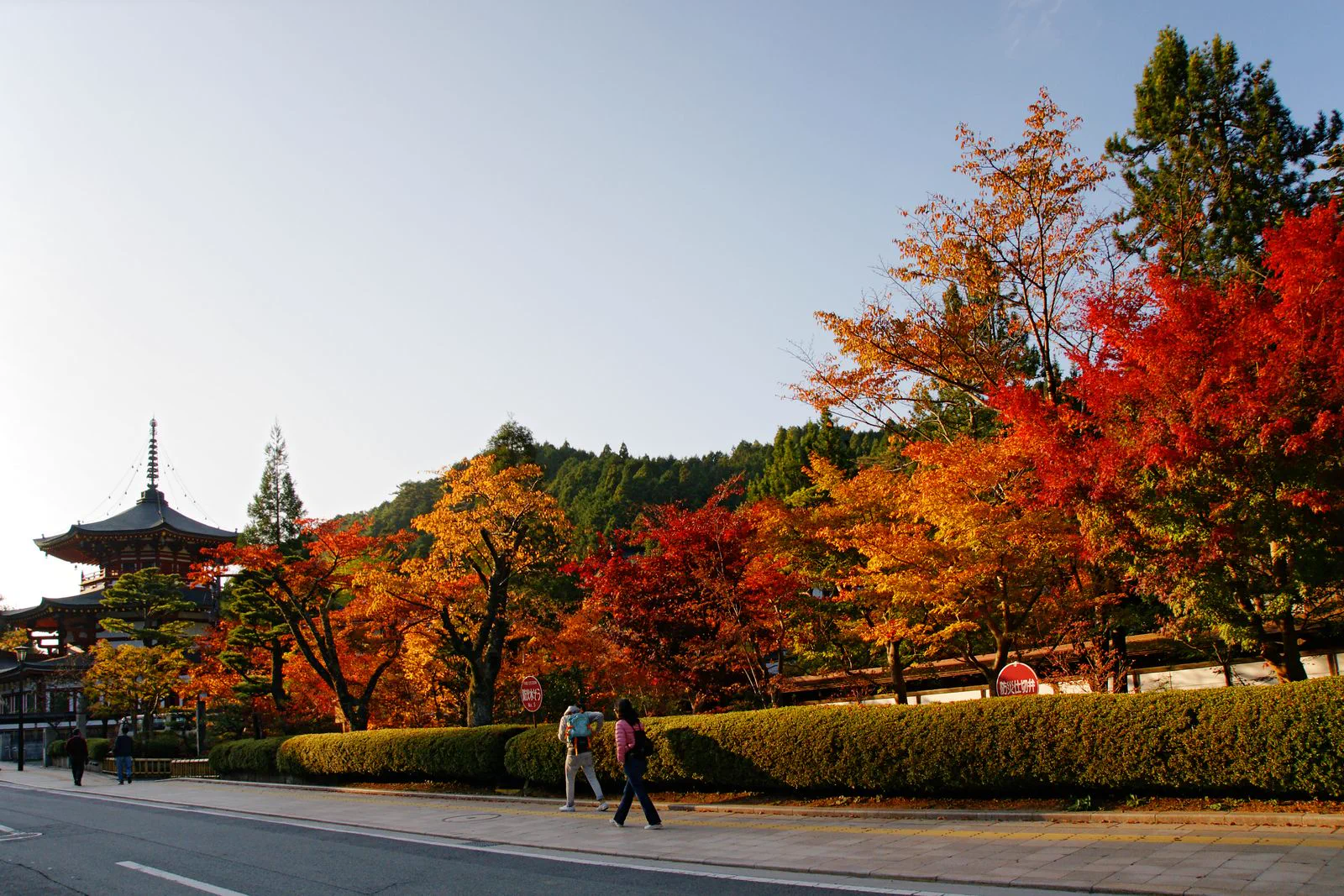 고야산 사찰 참배길과 가을 단풍, 11월 상순 간사이 산지 후보