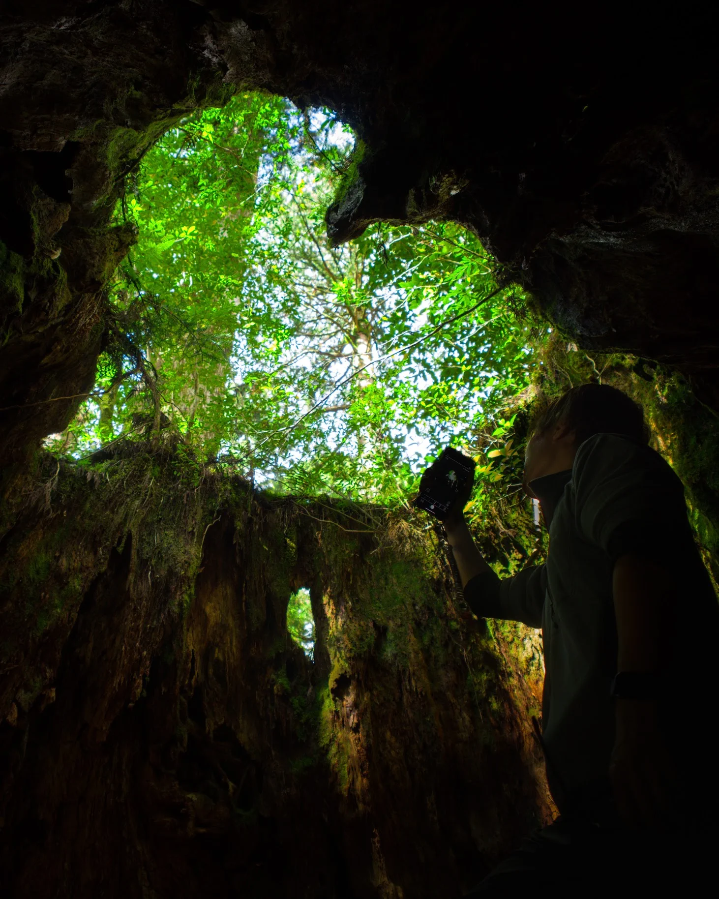 윌슨 그루터기 내부에서 보이는 하트 모양 하늘