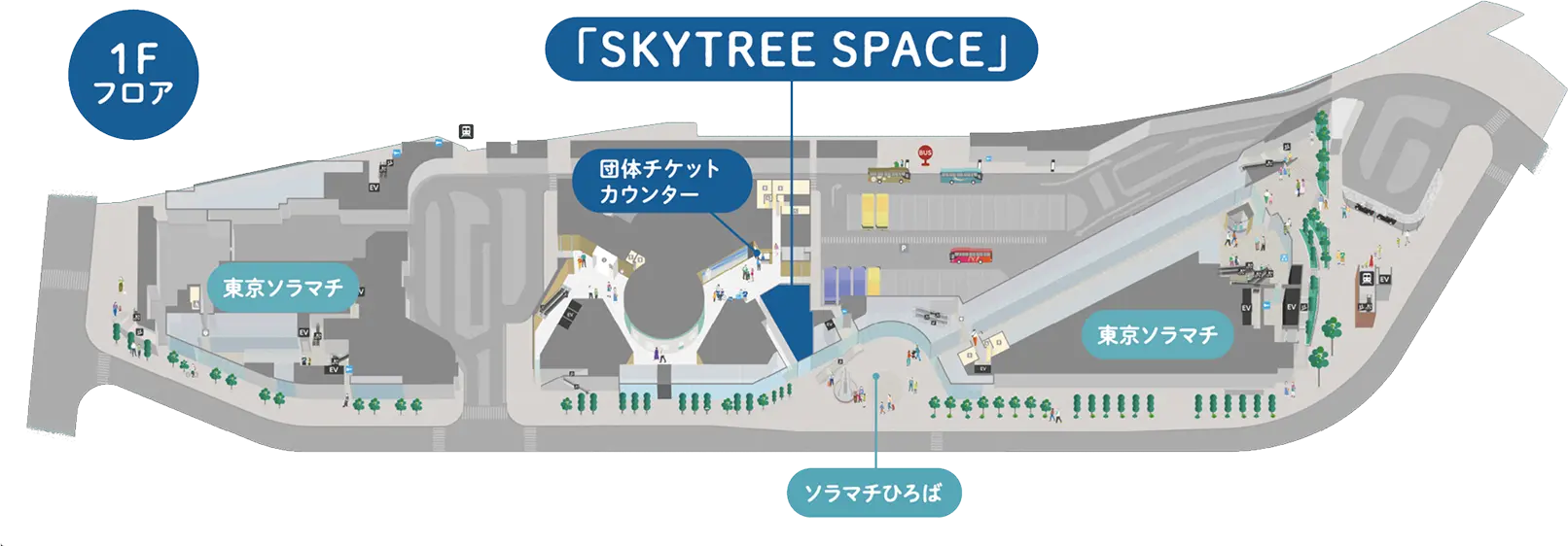 도쿄 스카이트리 1층 SKYTREE SPACE 치이카와 한정 굿즈 판매 위치